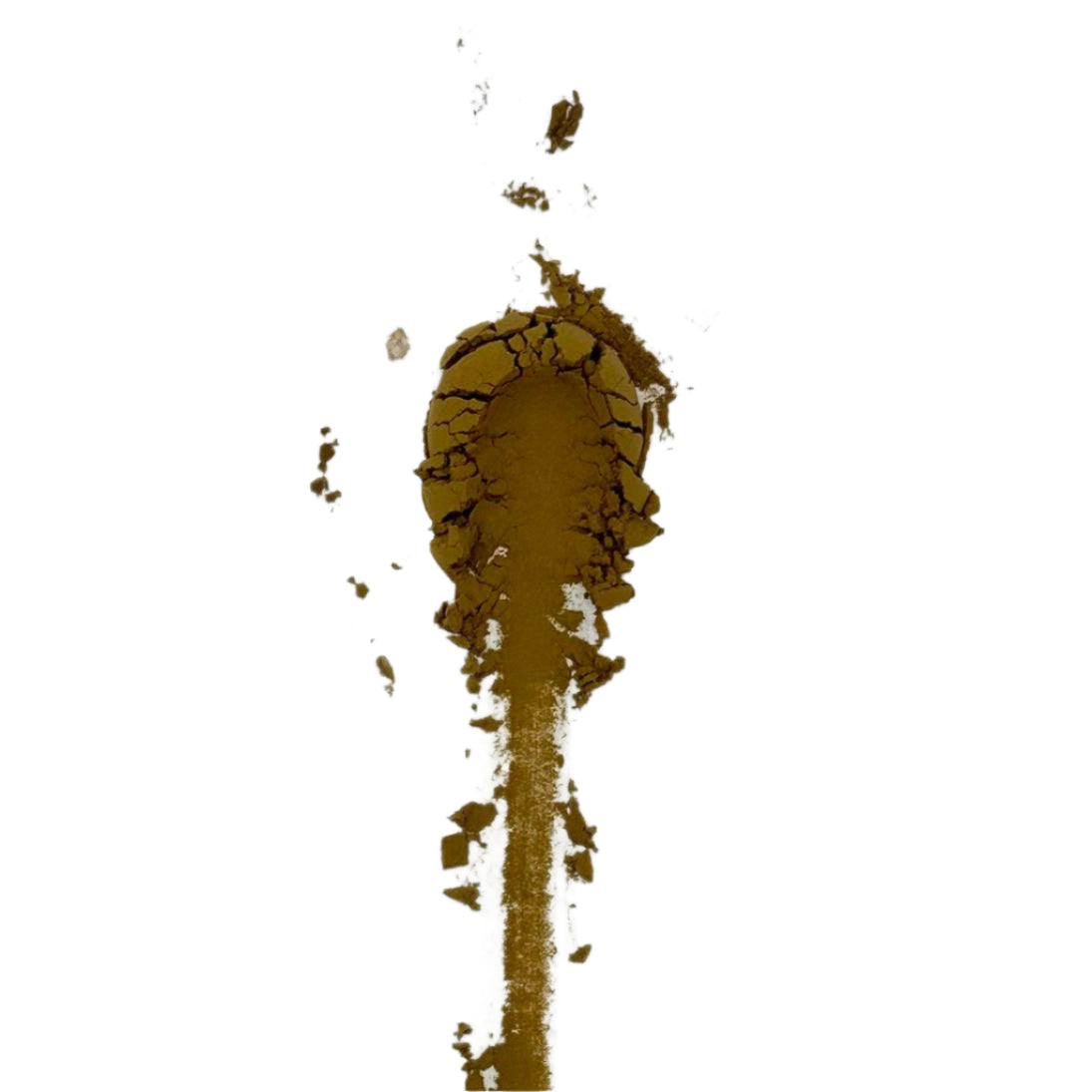 TWO Matcha Joy – Premium roasted hojicha powder with a warm, nutty aroma and deep caramel notes, sourced from pesticide-free tea leaves in Uji, Japan.